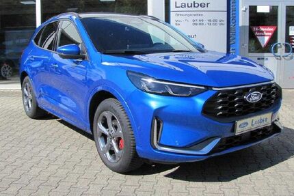 Ford Kuga 3.650 km 39.890 &euro; Bruchsal 76646