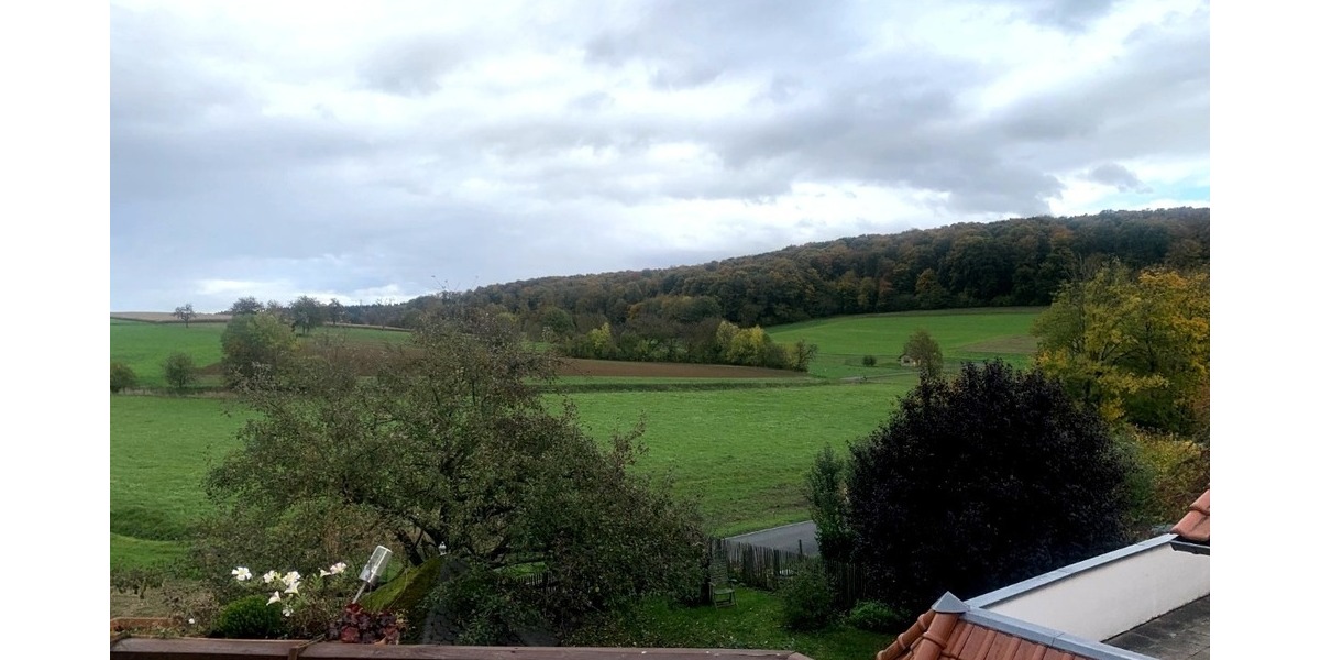 Großzügiges Einfamilienhaus mit Einliegerwohnung - Einfamilienhaus Sinsheim-Ehrstädt Ehrstädt | Angebot:25340465