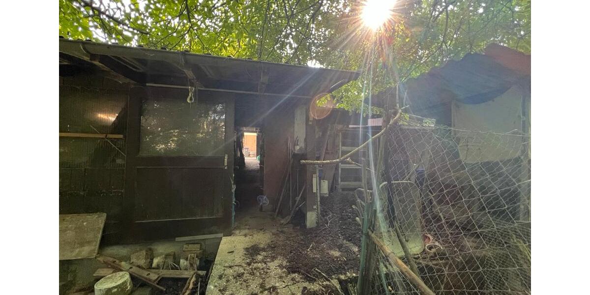 Einfamilienhaus Bad Rappenau - 6 Zimmer, 272.000&euro; | Angebot:21744007