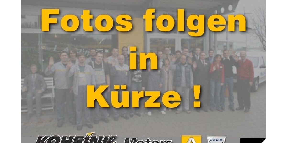 Renault Austral 24.500 km 31.870 &euro; Bietigheim-Bissingen 74321
