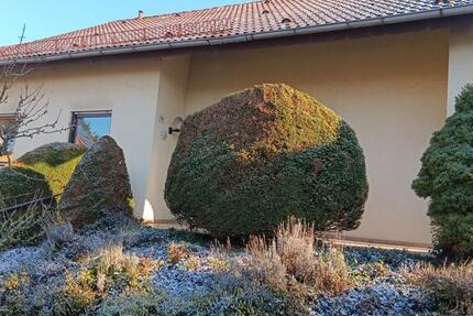 Haus Sinsheim - 7 Zimmer, 153 m&sup2;, 567.000&euro; | Angebot:25907306