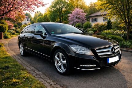 Mercedes-Benz CLS 250 Shooting Brake 179.980 km 15.490 &euro; Neckarwestheim 74382