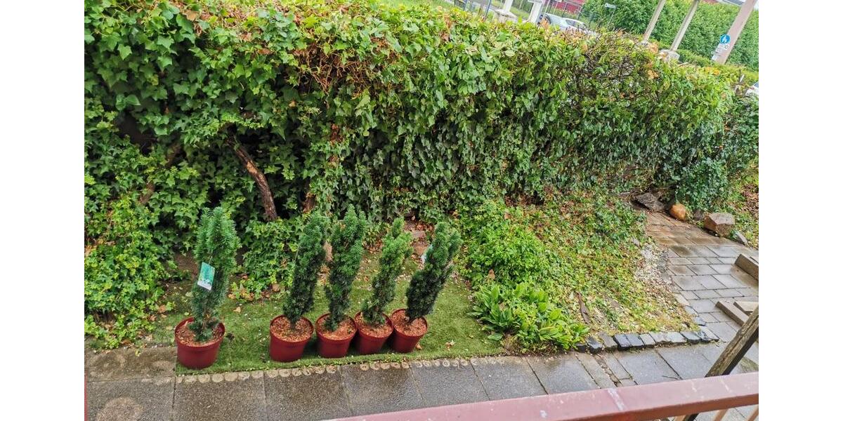 Erdgeschoßwohnung Nußloch - 4 Zimmer, 97 m&sup2;, 1.225&euro; | Angebot:25893596