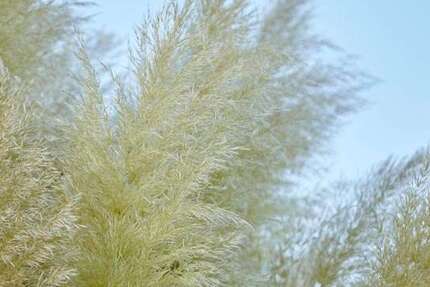 Grundstück Oberderdingen - 345.000&euro; | Angebot:25195070