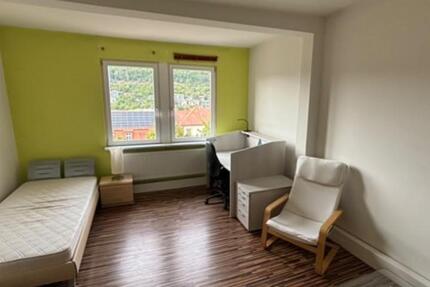 Wohnung Mosbach - 1 Zimmer, 55 m&sup2;, 300&euro; | Angebot:25365024