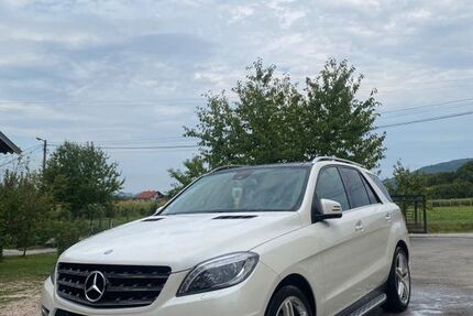 Mercedes-Benz ML 350 171.600 km 20.500 &euro; Schwaigern 74193
