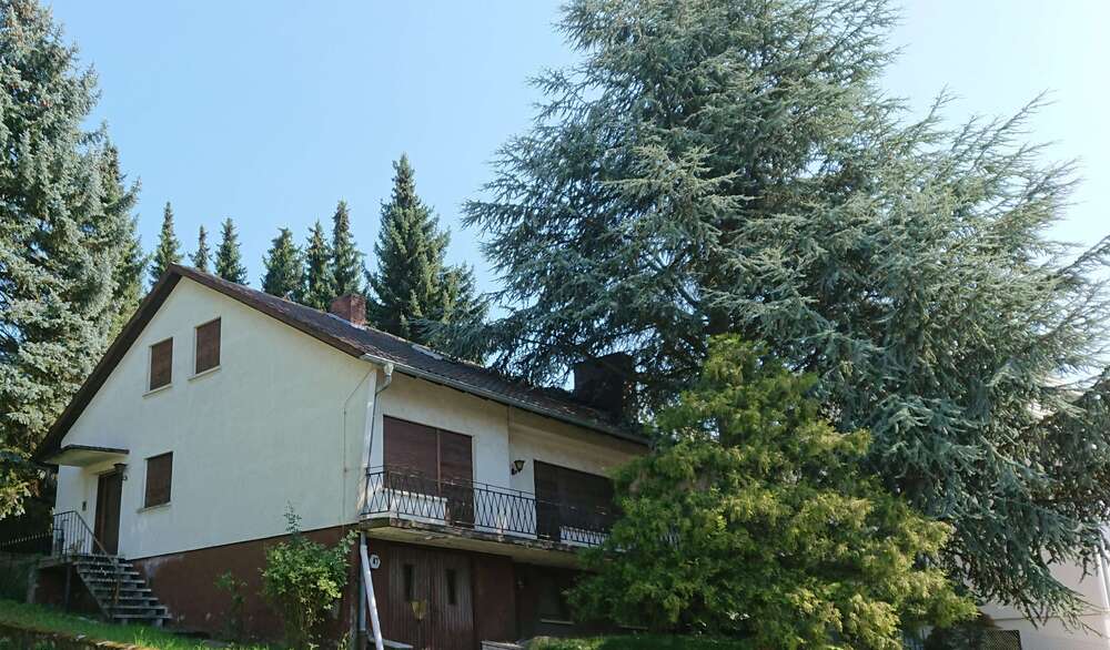 Einfamilienhaus Dielheim - 10 Zimmer, 316 m&sup2;, 499.000&euro; | Angebot:23121124