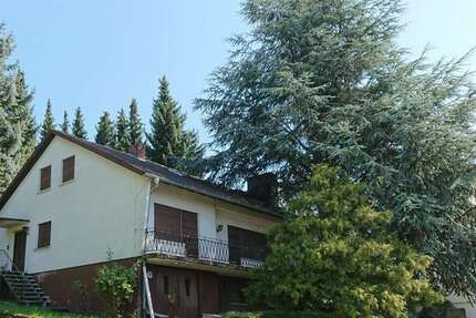 Haus Dielheim - 10 Zimmer, 316 m&sup2;, 499.000&euro; | Angebot:23121124