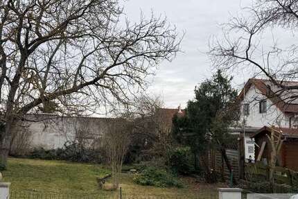 Grundstück Hambrücken - 126.000&euro; | Angebot:24878721