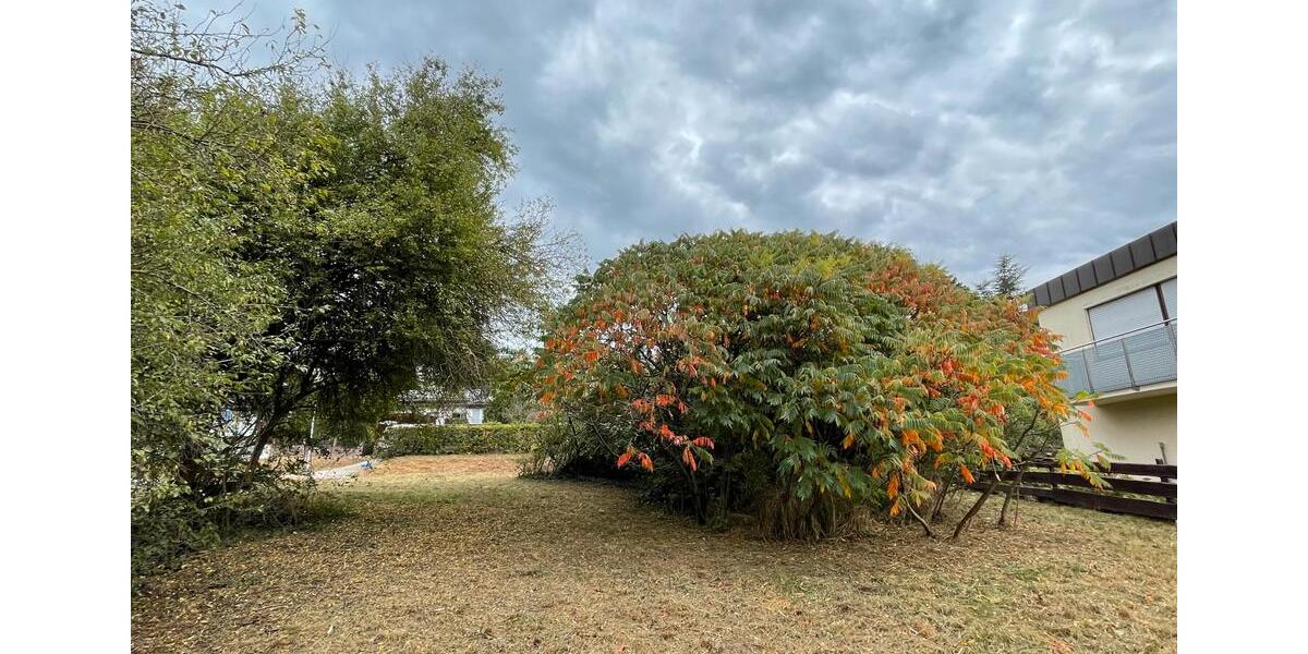 Einfamilienhaus Vaihingen an der Enz - 350.000&euro; | Angebot:25172331