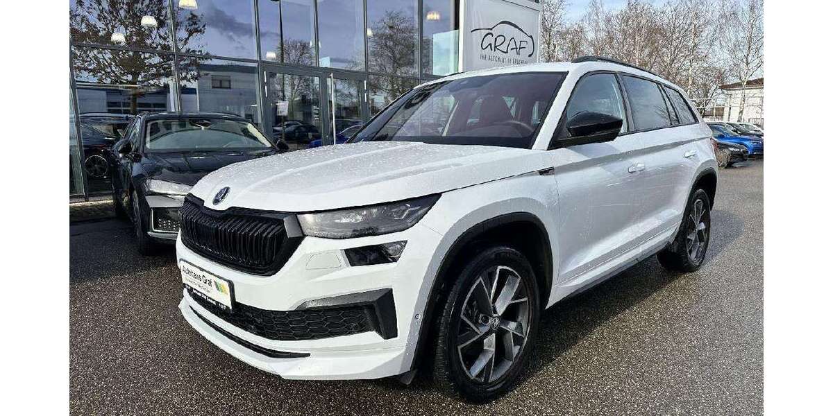 Skoda Kodiaq 95.000 km 36.990 &euro; Bruchsal 76646