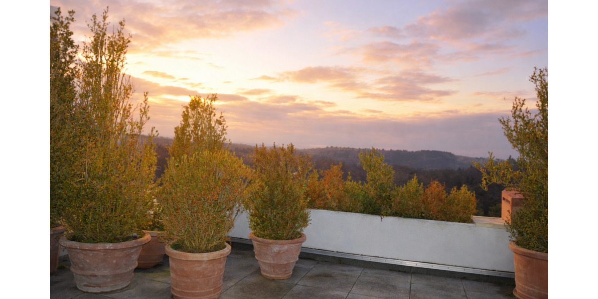 Etagenwohnung Eisingen - 4 Zimmer, 406 m&sup2;, 950.000&euro; | Angebot:25748658