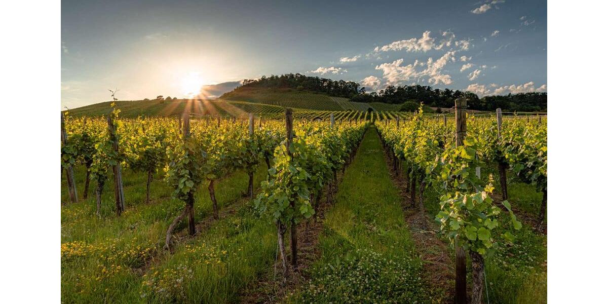 Etagenwohnung Vaihingen an der Enz - 2 Zimmer, 1.200&euro; | Angebot:23245965