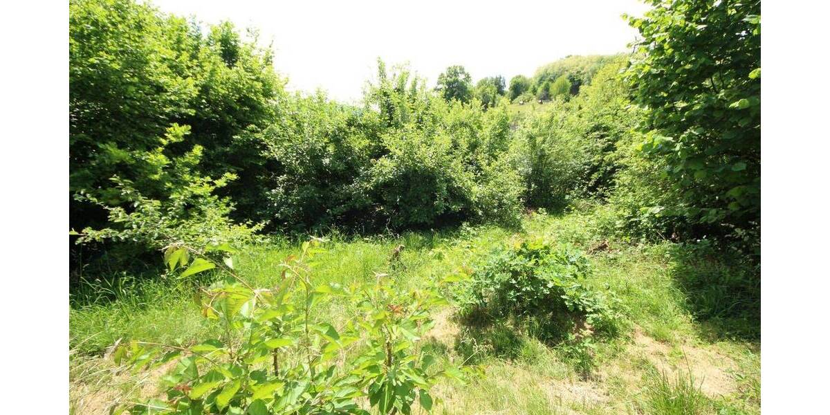 Einfamilienhaus Obrigheim - 7 Zimmer, 160 m&sup2;, 309.000&euro; | Angebot:25986789