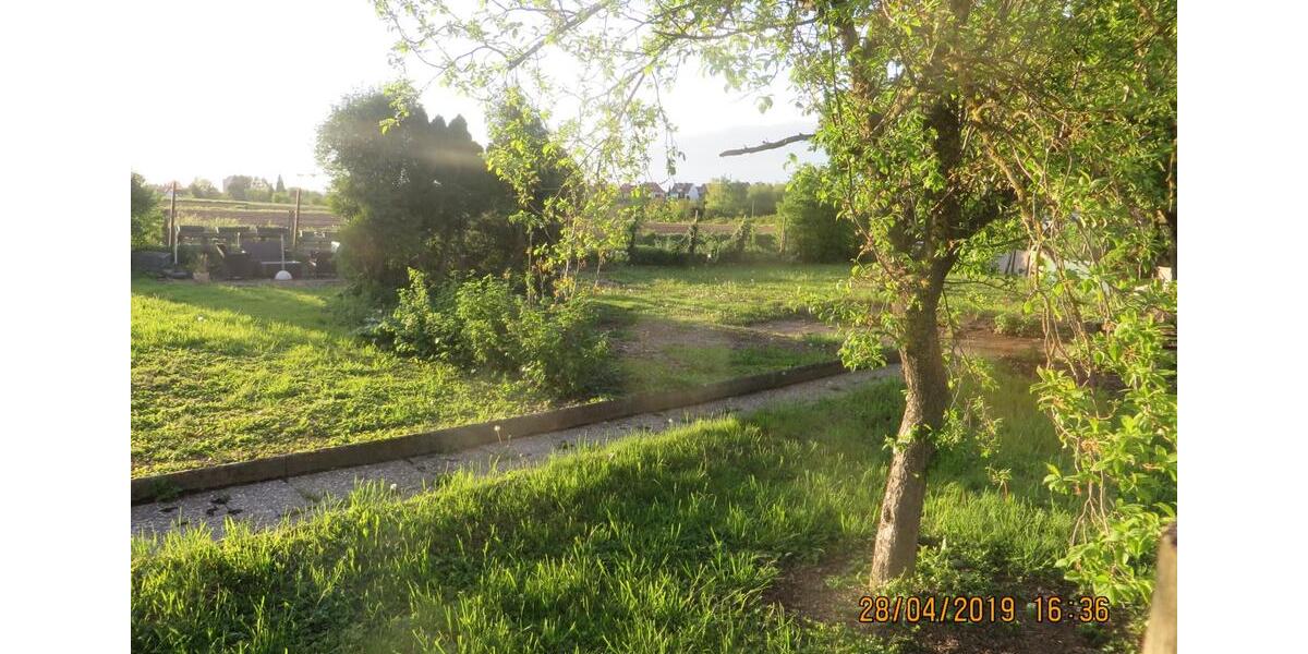 Einfamilienhaus Heilbronn Kernstadt - 2 Zimmer, 20 m&sup2;, 3.100&euro; | Angebot:25932091