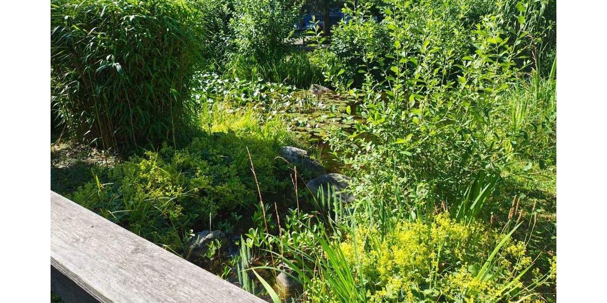 Gewerbeobjekt Bruchsal - 195&euro; | Angebot:25875513