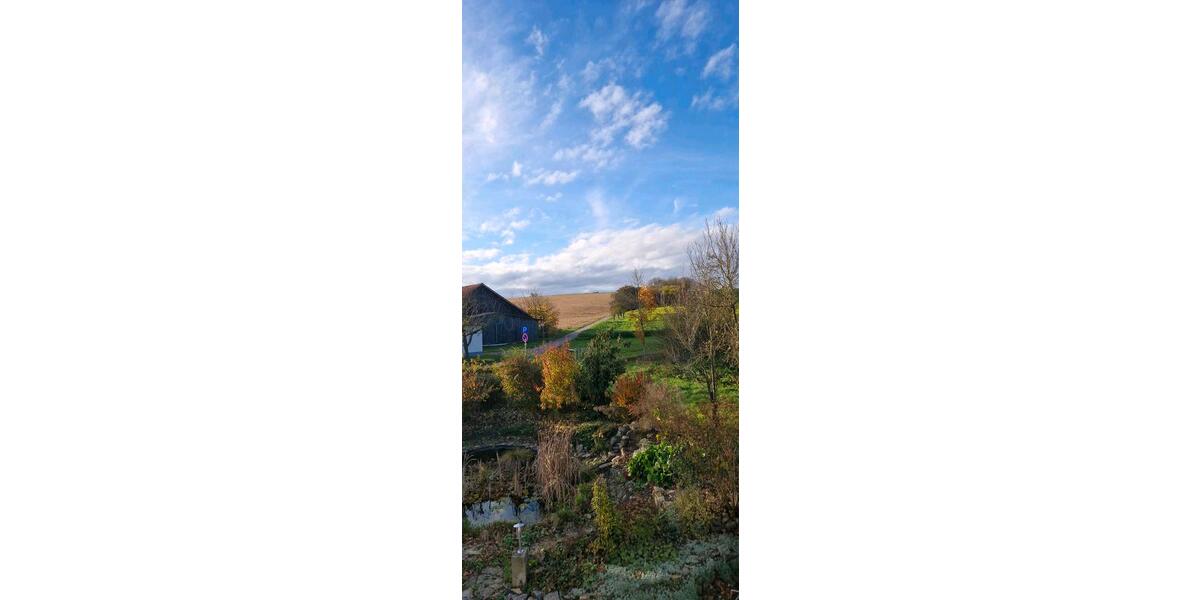 Gewerbeobjekt Ittlingen - 220&euro; | Angebot:25483321