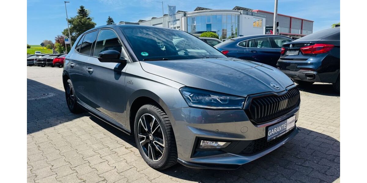 Skoda Fabia 49.987 km 21.970 &euro; Bad Rappenau 74906