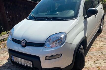 Fiat Panda 1.658 km 12.300 &euro; Mosbach 74821