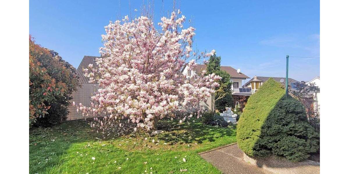 Einfamilienhaus Rauenberg Malschenberg - 6 Zimmer, 160 m&sup2;, 535.000&euro; | Angebot:25668546