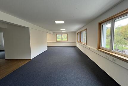 Gewerbeobjekt Vaihingen an der Enz - 2.700&euro; | Angebot:18075483