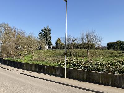 BAUPLATZ FÜR EIN MEHRFAMILIENHAUS - Grundstück Walzbachtal | Angebot:27288942