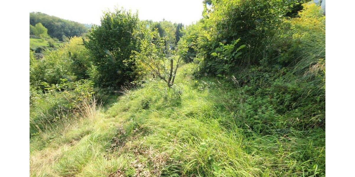 Einfamilienhaus Obrigheim - 7 Zimmer, 160 m&sup2;, 309.000&euro; | Angebot:25986789