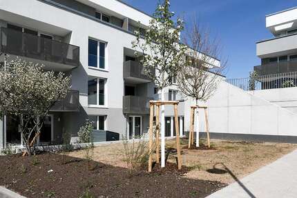 Wohnung Brackenheim - 4 Zimmer, 100 m&sup2;, 549.000&euro; | Angebot:14050788