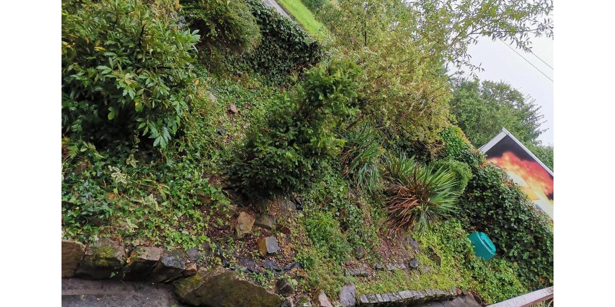 Erdgeschoßwohnung Nußloch - 4 Zimmer, 97 m&sup2;, 1.225&euro; | Angebot:25893596