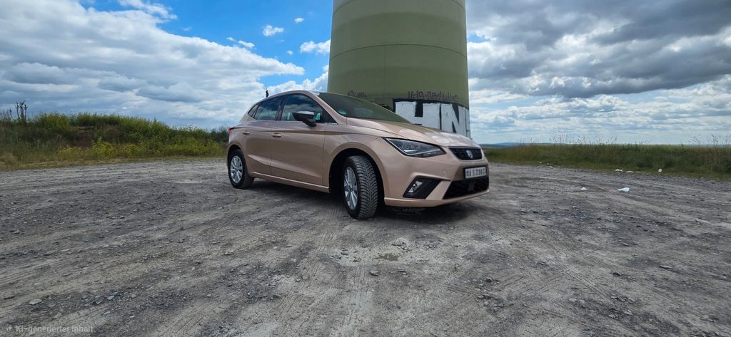 Seat Ibiza 45.000 km 10.699 &euro; Ingersheim 74379