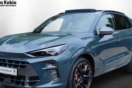 Cupra Terramar 9.920 km 49.890 &euro; Sinsheim 74889