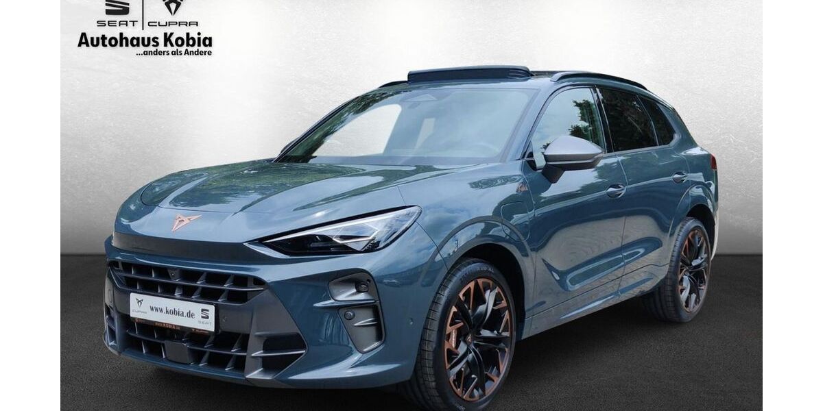 Cupra Terramar 9.920 km 49.890 &euro; Sinsheim 74889