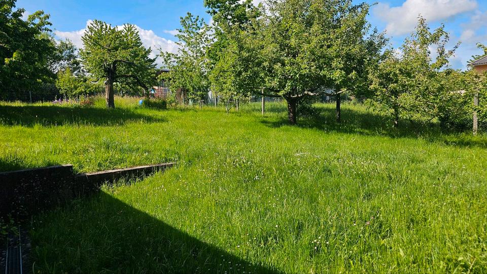 Einfamilienhaus Neulingen - 7 Zimmer, 250 m&sup2;, 415.000&euro; | Angebot:27050166