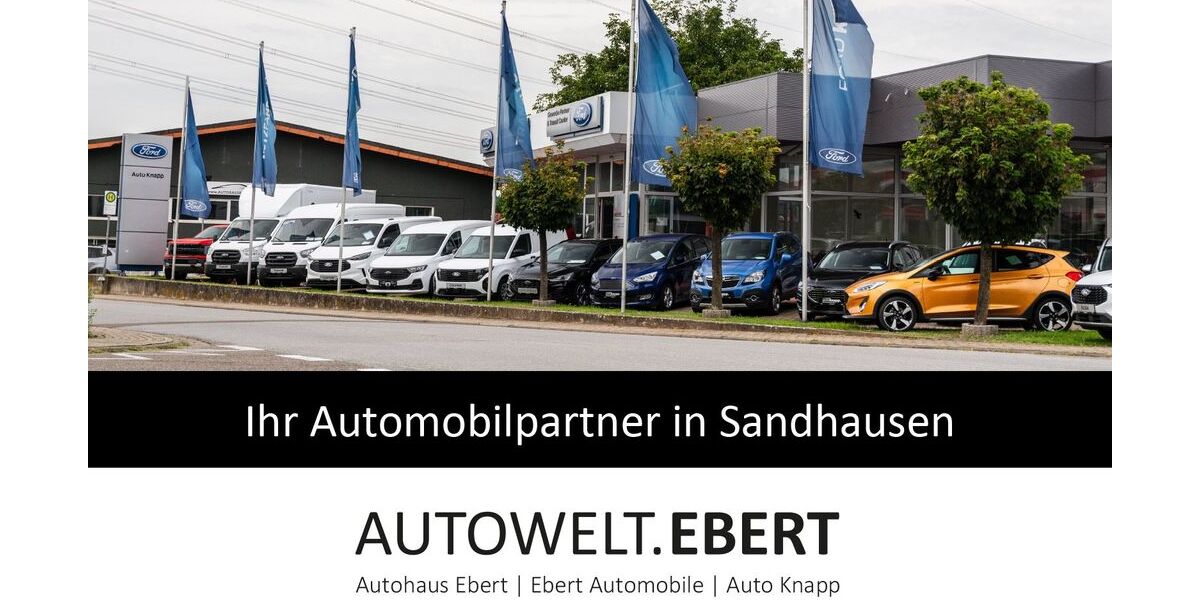 Skoda Kodiaq 82.200 km 35.690 &euro; Sandhausen 69207