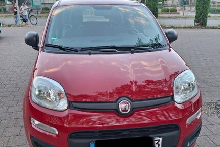 Fiat Panda 30.500 km 5.600 &euro; Wiesloch 69168