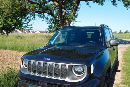 Jeep Renegade 64.483 km 16.699 &euro; Sersheim 74372