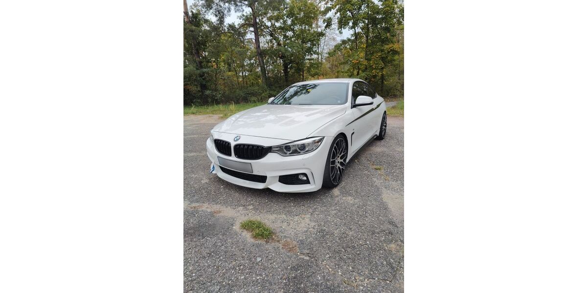 BMW 420 97.800 km 21.900 &euro; Leimen 69181