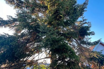 Haus Bad Friedrichshall - 7 Zimmer, 120 m&sup2;, 720.000&euro; | Angebot:24788247