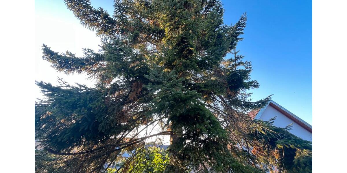 Mehrfamilienhaus, Wohnhaus Bad Friedrichshall - 7 Zimmer, 120 m&sup2;, 720.000&euro; | Angebot:24788247