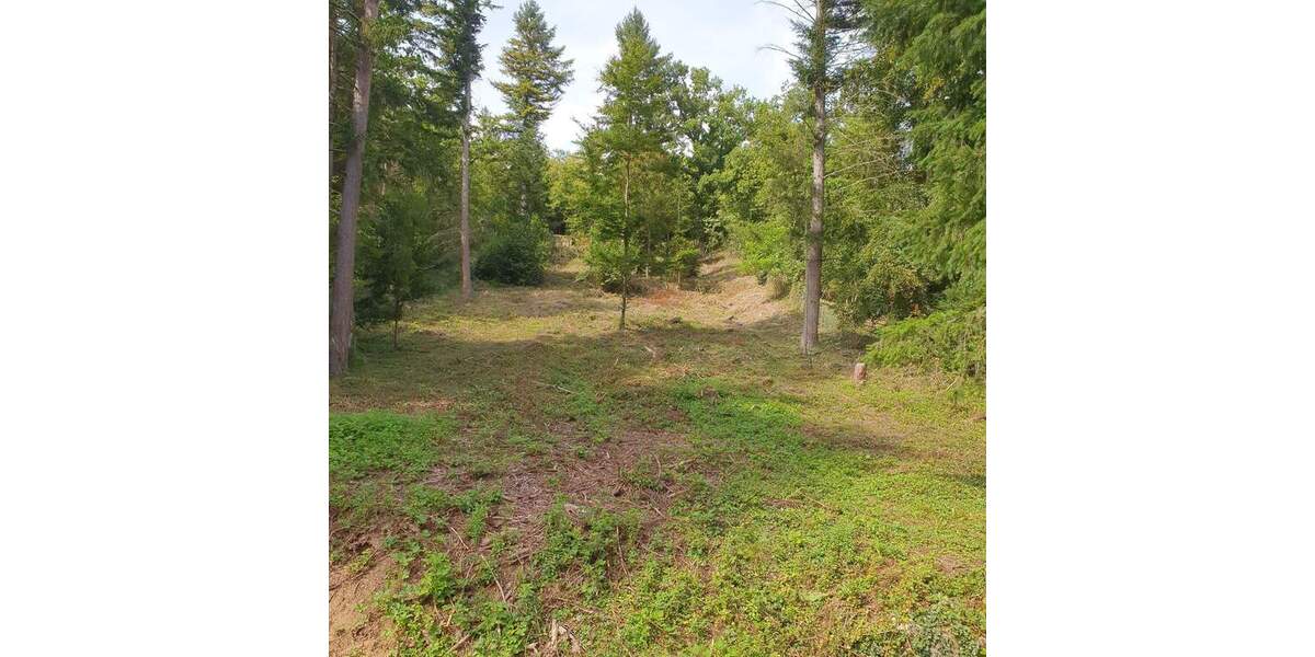 Grundstück Kieselbronn - 39.900&euro; | Angebot:25899063