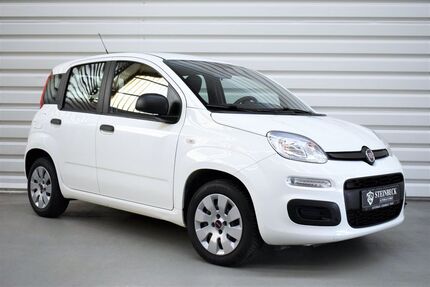 Fiat Panda 81.000 km 7.990 &euro; Forst 76694