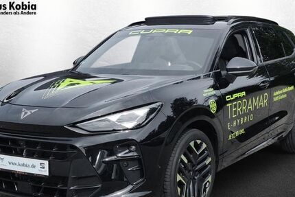 Cupra Terramar 9.589 km 46.890 &euro; Sinsheim 74889