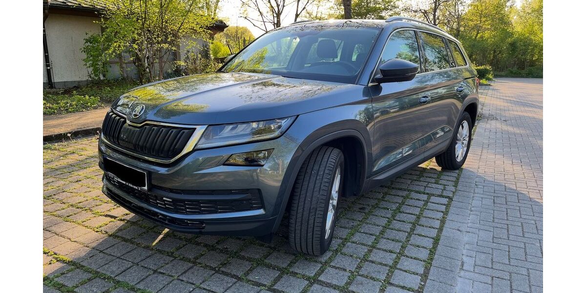 Skoda Kodiaq 119.390 km 19.000 &euro; Bruchsal 76646