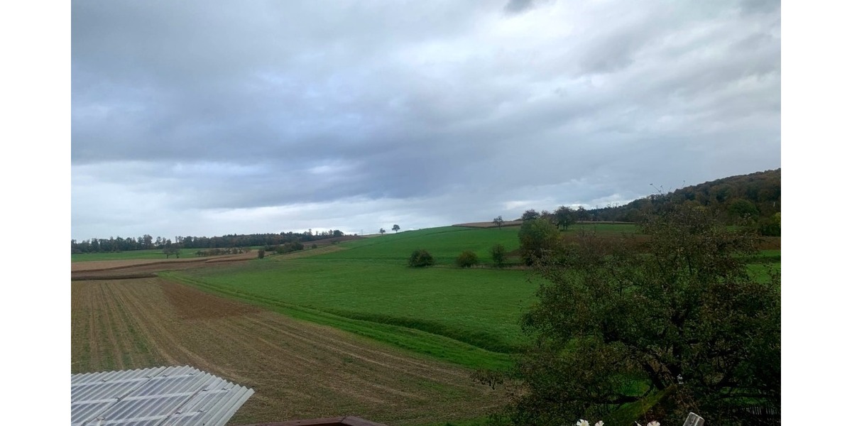 Großzügiges Einfamilienhaus mit Einliegerwohnung - Einfamilienhaus Sinsheim-Ehrstädt Ehrstädt | Angebot:25340465