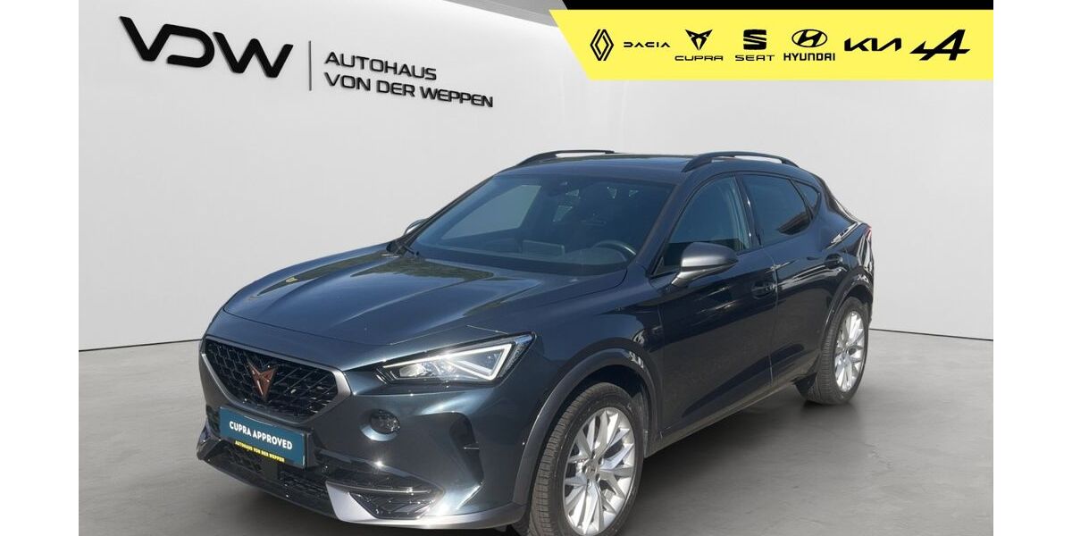 Cupra Formentor 61.200 km 25.280 &euro; Mosbach 74821