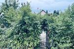Einfamilienhaus Heilbronn Böckingen - 7 Zimmer, 175 m&sup2;, 785.000&euro; | Angebot:27259206