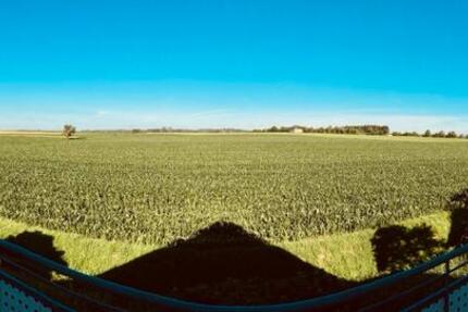 Wohnung Obrigheim - 4 Zimmer, 100 m&sup2;, 349.000&euro; | Angebot:24717413